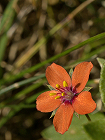 K080830_11h38_44.jpg